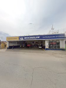 Michelin Los Profesionales En Llantas